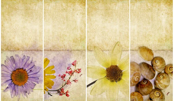꽃 요소와 소박 텍스처 배너의 아름 다운 세트 — 스톡 사진