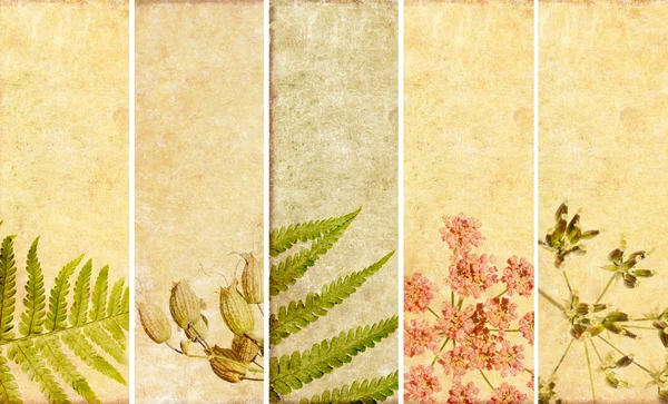 Bel ensemble de bannières avec des éléments floraux et des textures terreuses — Photo