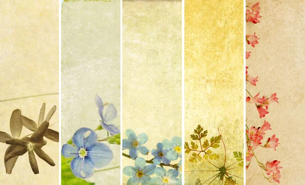 Krásná sada bannerů s květinové prvky a zemité textur — Stock fotografie