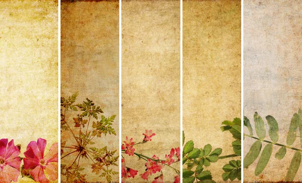 Conjunto encantador de banners com elementos florais e texturas terrosas — Fotografia de Stock