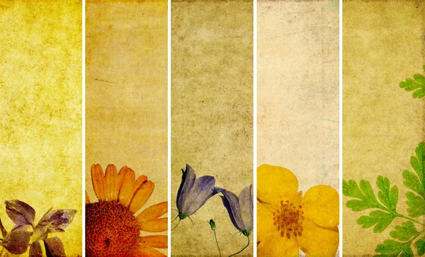 Krásná sada bannerů s květinové prvky a zemité textur — Stock fotografie