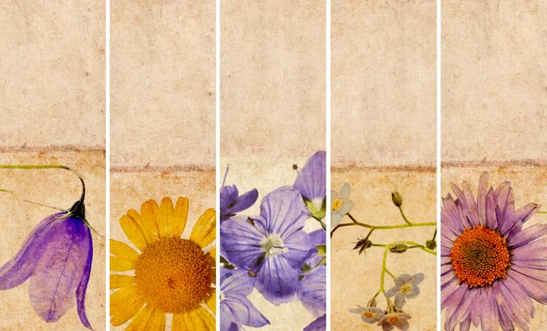 Precioso conjunto de pancartas con elementos florales y texturas terrosas —  Fotos de Stock