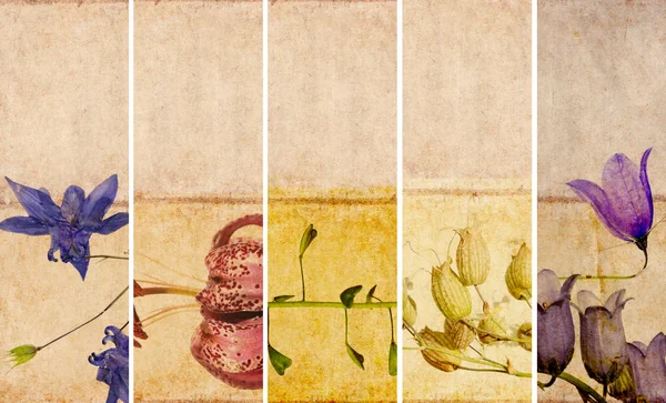 Çok güzel çiçek öğeleri ve dünyevi dokular ile afiş kümesi — Stok fotoğraf