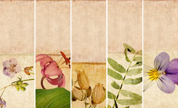 Conjunto encantador de banners com elementos florais e texturas terrosas — Fotografia de Stock