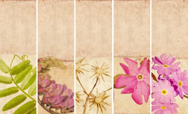 Bel ensemble de bannières avec des éléments floraux et des textures terreuses — Photo