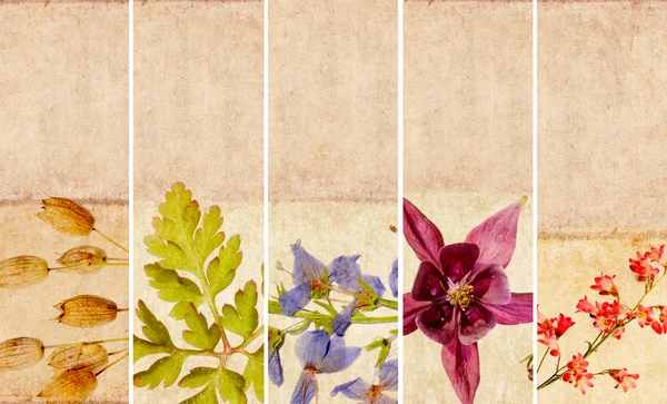 Υπέροχο σύνολο πανό με στοιχεία floral και γήινα υφές — Φωτογραφία Αρχείου
