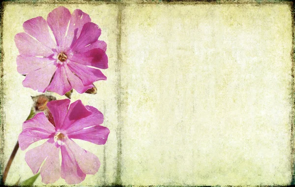 Floral φόντο και σχεδιασμός στοιχείο — Φωτογραφία Αρχείου