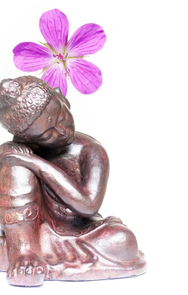 Buddha és virág színes illusztráció — Stock Fotó