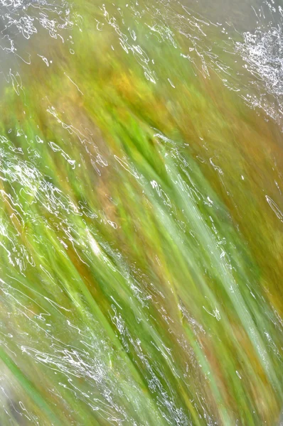 Abstracte naadloze groen — Stockfoto