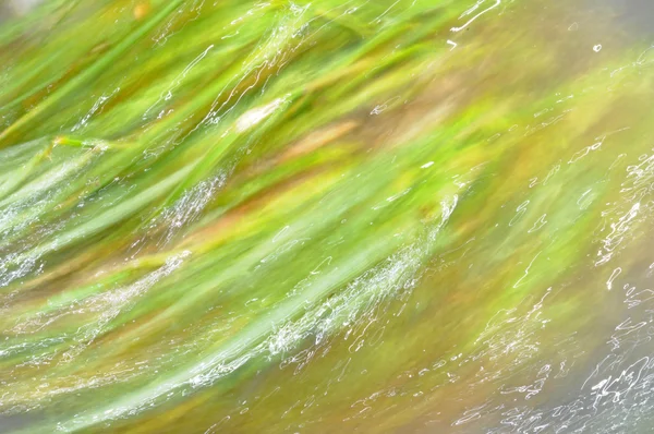 Astratto verde senza cuciture — Foto Stock
