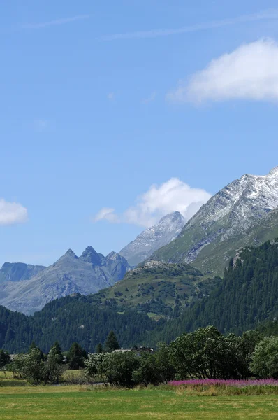 Bel paesaggio alpino — Foto Stock