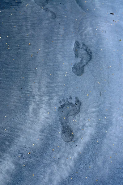 Кроки в піску — стокове фото