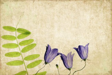 mooie bloemen achtergrond en ontwerp element