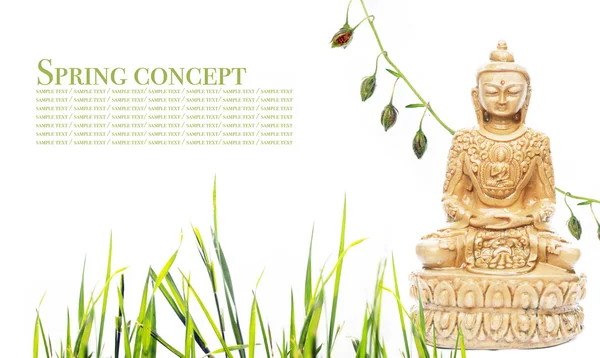 Будда и цветочные элементы. полезные элементы дизайна — стоковое фото