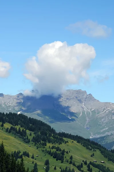 Швейцарські Альпи — стокове фото