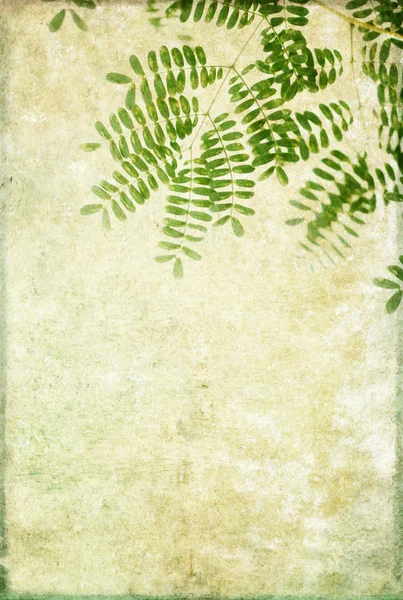 Зелений квітковий фон зображення і елемент дизайну — стокове фото