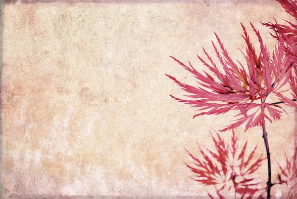 Zemité květinové pozadí obrázek a konstrukční prvek — Stock fotografie