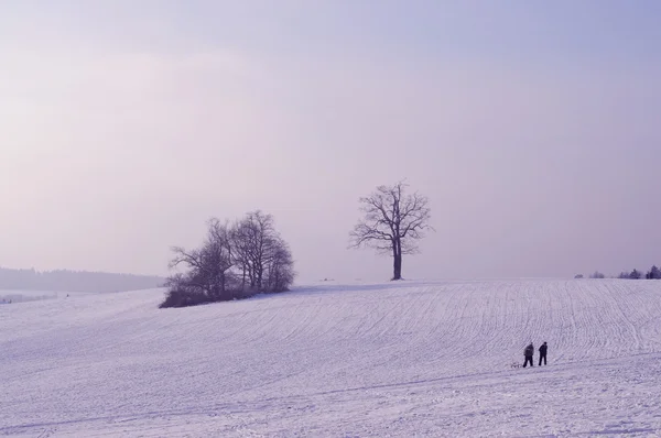スイスの田舎で余暇の歩行 — ストック写真