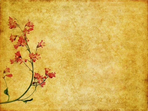Aardse bloemen achtergrond afbeelding en ontwerp element — Stockfoto