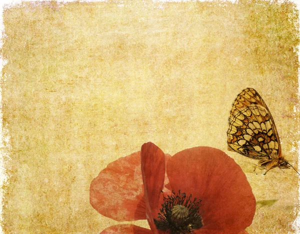 テントウムシと花の要素と素敵な背景イメージです。便利なデザイン要素. — ストック写真