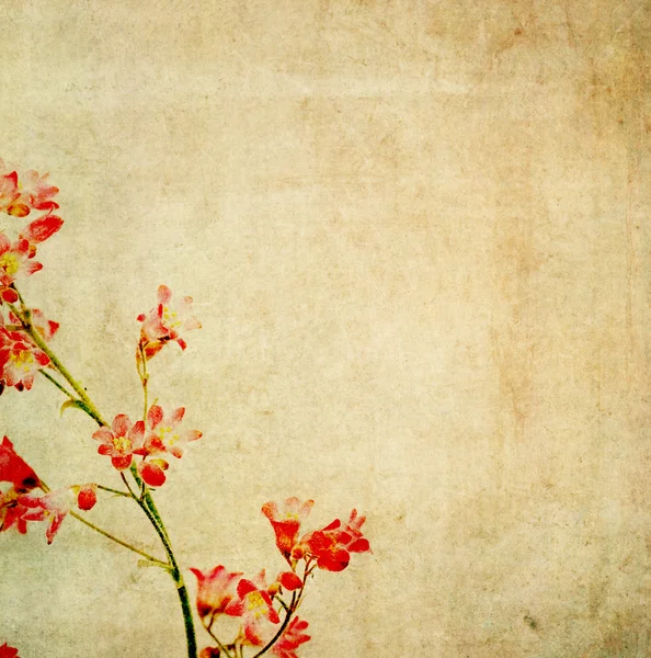 素朴な花の背景画像やデザイン要素 — ストック写真