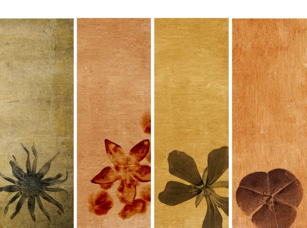 Lovely banners with floral elements and earthy texture. very useful design elements. — Stock Photo, Image
