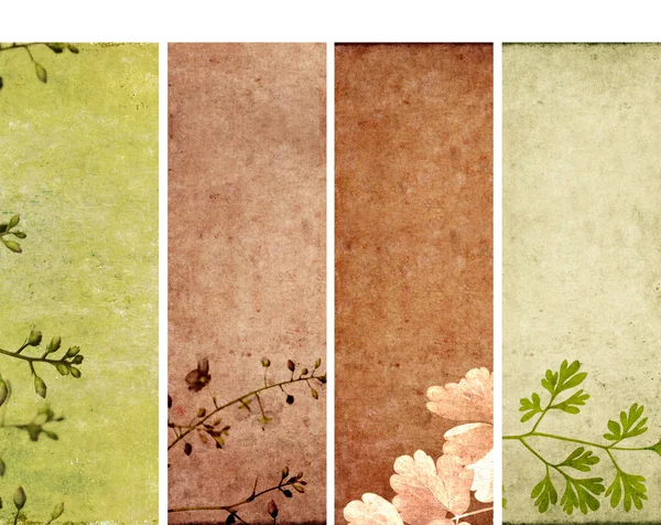 Banner incantevoli con elementi floreali e texture terrosa. elementi di design molto utili . — Foto Stock