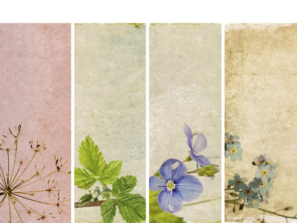 Υπέροχο πανό με στοιχεία floral και γήινα υφή. πολύ χρήσιμο σχεδιαστικά στοιχεία. — Φωτογραφία Αρχείου