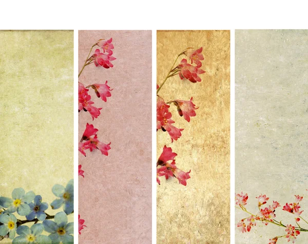 Schöne Banner mit floralen Elementen und erdiger Textur. sehr nützliche Designelemente. — Stockfoto