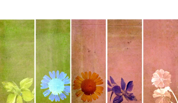 与花卉元素和土状纹理的可爱横幅。非常有用的设计元素. — 图库照片