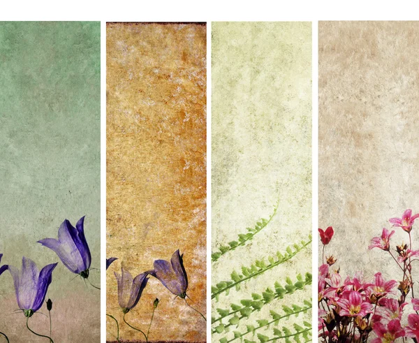Прекрасні банери з квітковими елементами і земною текстурою. дуже корисні елементи дизайну . — стокове фото