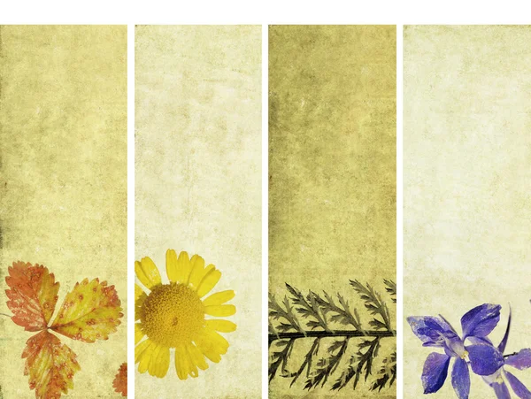 Прекрасні банери з квітковими елементами і земною текстурою. дуже корисні елементи дизайну . — стокове фото