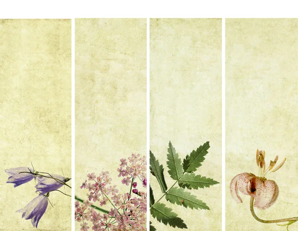 Υπέροχο πανό με στοιχεία floral και γήινα υφή. πολύ χρήσιμο σχεδιαστικά στοιχεία. — Φωτογραφία Αρχείου