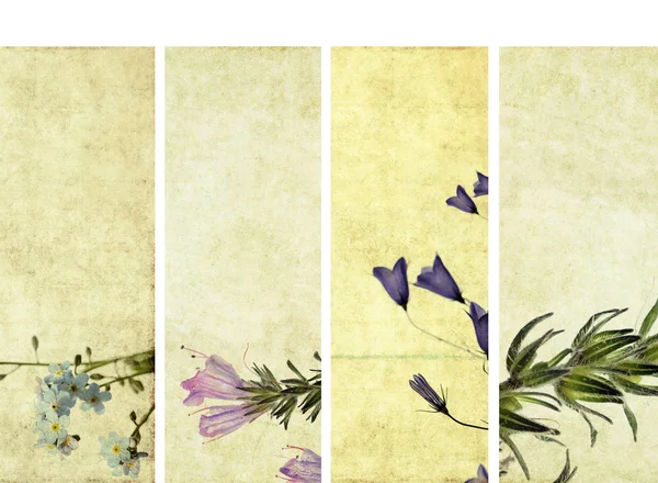 Krásné nápisy s květinové prvky a zemité textury. velmi užitečné prvky. — Stock fotografie