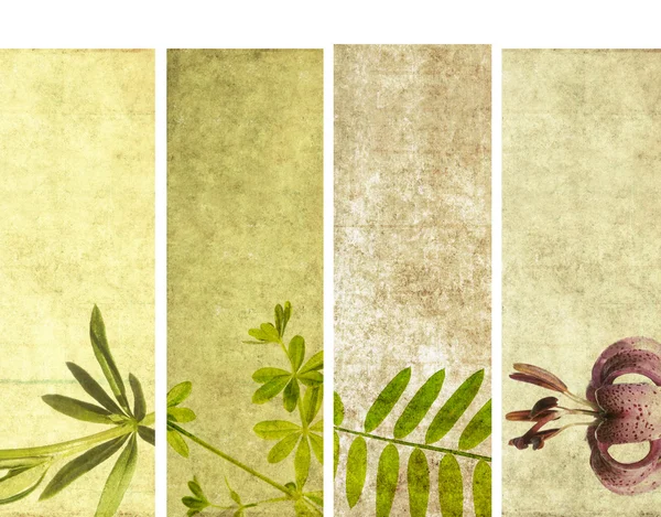 Mooie banners met florale elementen en aardse textuur. zeer nuttig ontwerpelementen. — Stockfoto