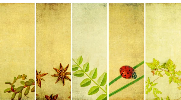 Lovely banners with floral elements and earthy texture. very useful design elements. — Stock Photo, Image