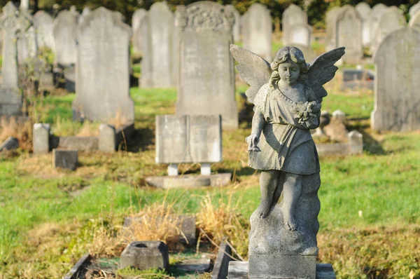 Statua di un angelo cherubino in pietra in un cimitero di Londra, Inghilterra — Foto Stock