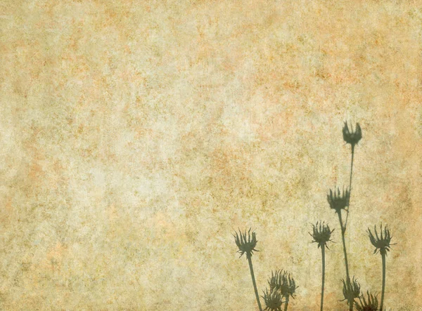 Härliga blommiga bakgrunds- och element — Stockfoto