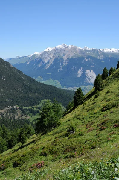 Majestuoso paisaje alpino —  Fotos de Stock