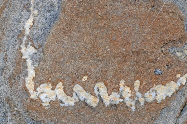 Textura de piedra interesante — Foto de Stock