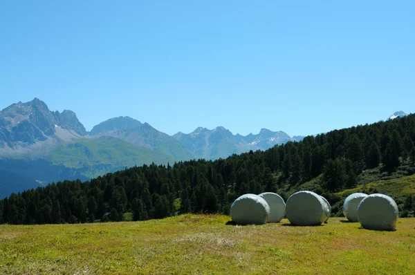 Прекрасна панорама в Альпах в Швейцарії — стокове фото
