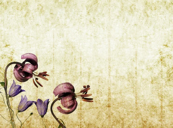 Γήινα floral φόντο εικόνας και σχεδιασμός στοιχείο — Φωτογραφία Αρχείου