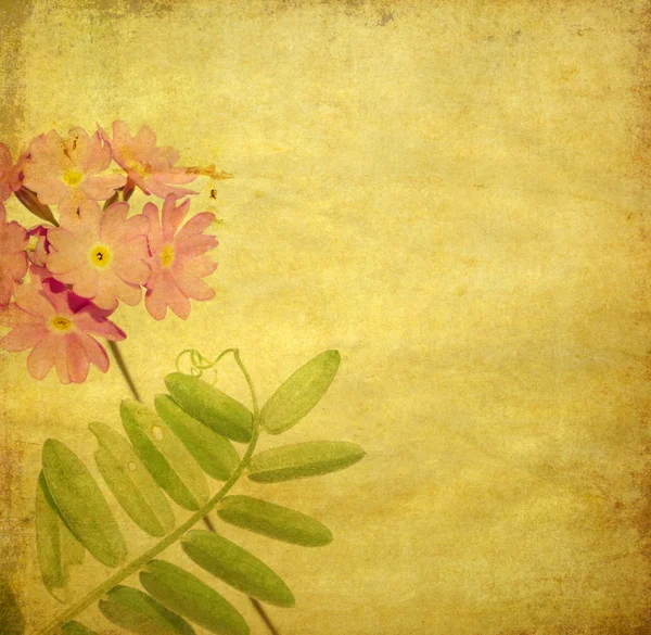 Earthy floral background image and design element — Stock Photo, Image