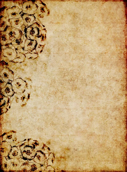 Brown image of the background with interesting texture — Stock Photo, Image