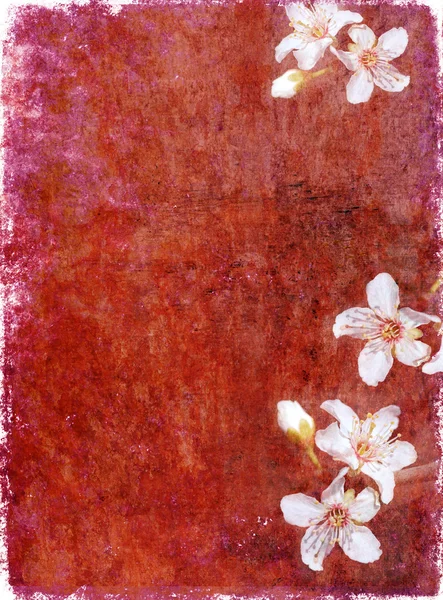 Υπέροχο κόκκινο φόντο εικόνα με ενδιαφέρουσα υφή, floral στοιχεία και άφθονο χώρο για κείμενο — Φωτογραφία Αρχείου