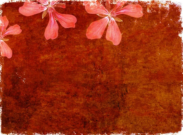 Krásné červené pozadí obrázek s zajímavá textura, květinové prvky a spoustou místa pro text — Stock fotografie