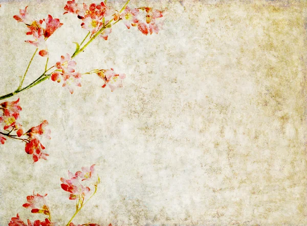 Earthy floral background image and design element — Stock Photo, Image