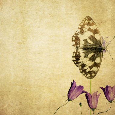 Lovely background image with floral elements and butterfly. very useful design element.