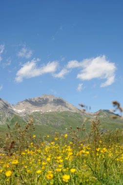 güzel dağ manzarası