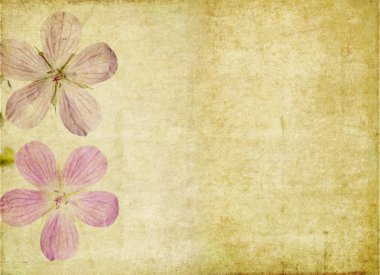 mooie bloemen achtergrond en ontwerp element